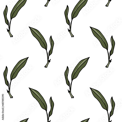 Vector seamless pattern with hand drawn sage leaves. Beautiful culinary design elements, ink drawing. Perfect for prints and patterns