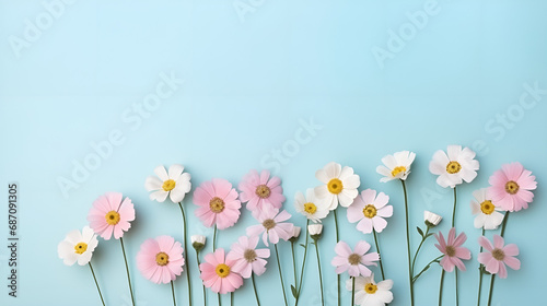 spring flowers on a light blue background