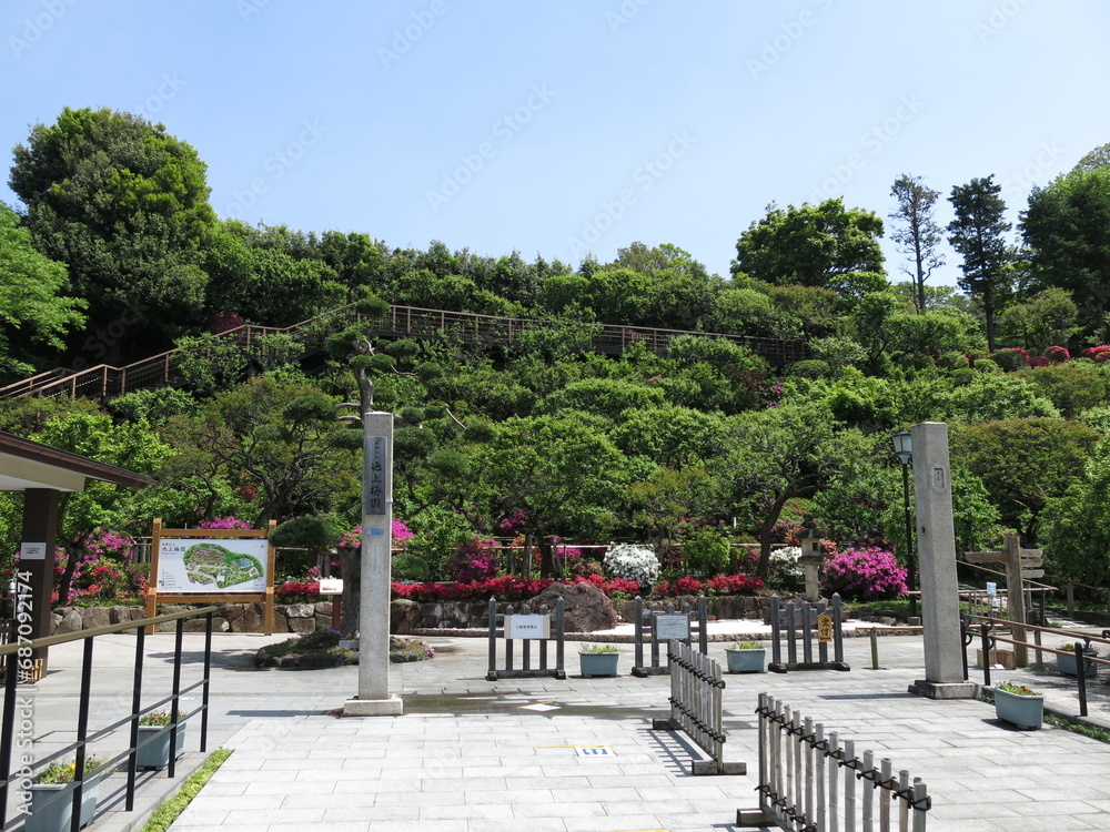 ツツジが咲く大田区の池上梅園