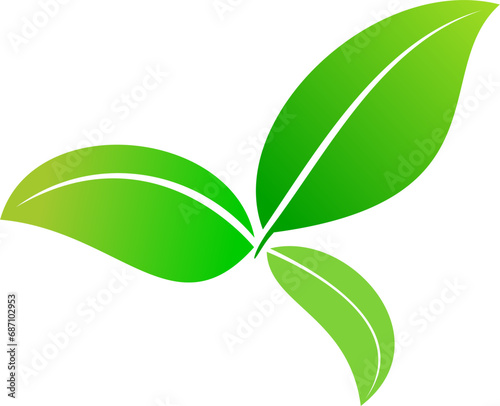 Green leaf isolated on transparent background, ready for element or retouch design.