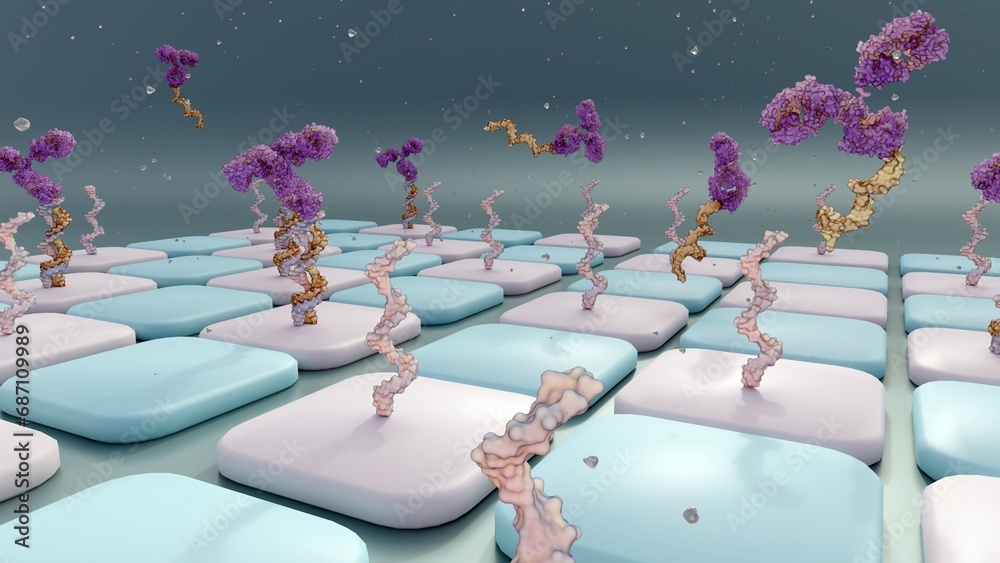Antibody-oligonucleotide conjugates or AOC use in antibody arrays; 3d ...