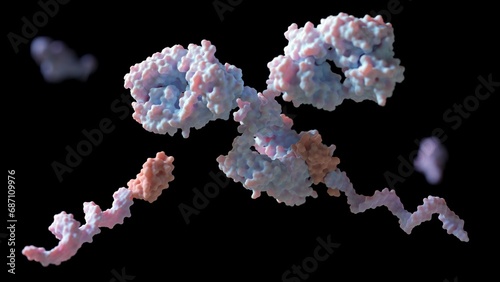 Conjugal of DNA to primary antibodies with protein G and linker for multiplexed cellular targeting: 3D rendering photo