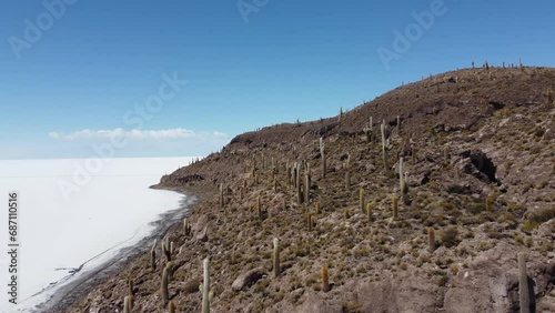 Camera moving over cactus on dry rocky island called Isla Incahuasi on Salar De Uyuni salt flats Bolivia photo