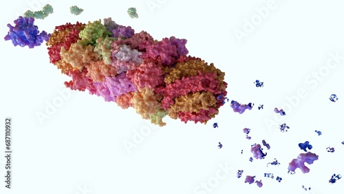 Proteasomes are molecular machines for breaking down proteins called proteolysis, only target proteins that have been marked for destruction called ubiquitin to the target protein, 3d rendering photo