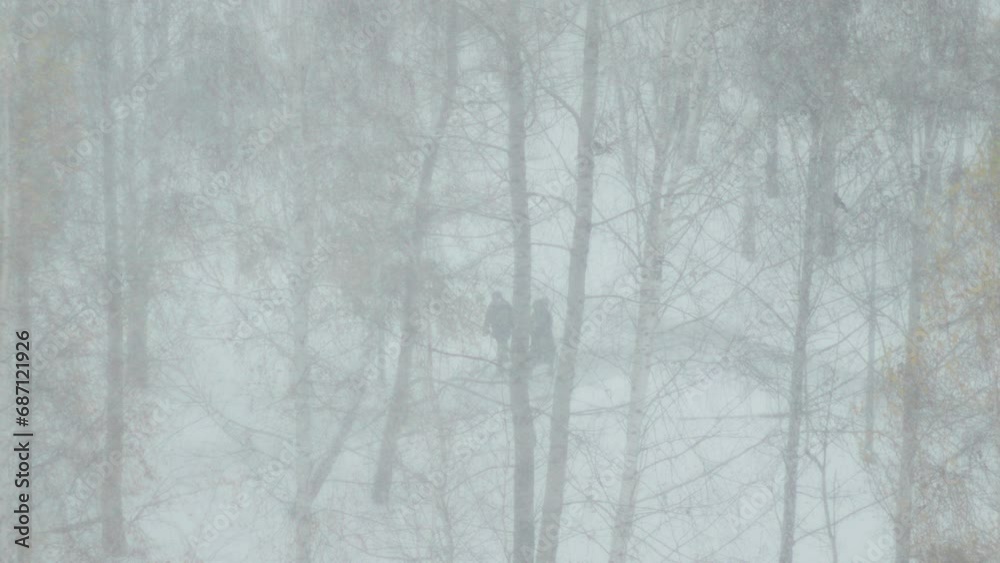 Defocused winter background with snowfall and copy space. Magic forest slow motion Defocused winter background with snowfall and copy space. Magic forest slow motion