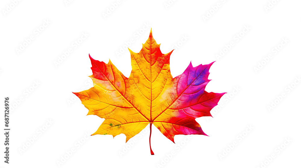 maple colorful png maple colorful png