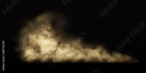 Sand cloud with dust isolated on transparent background. Desert storm, sandstorm. Dusty cloud or dry sand flying. Realistic vector illustration
