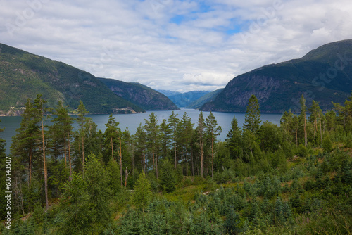 Landscape at the Hardangerfjord near Utne in Norway.