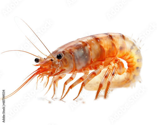 Shrimp on a light transparent background. PNG file. Generative artificial intelligence