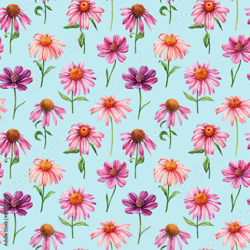 Seamless pattern with spring wildflowers watercolor. Floral design, elegant botanical blue background. Echinacea flowers