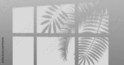 Moving leaves and window shadow overlay under sunlight natural appeal animation over white color background. Sunlight coming from window creating a shadow overlay inside the room.