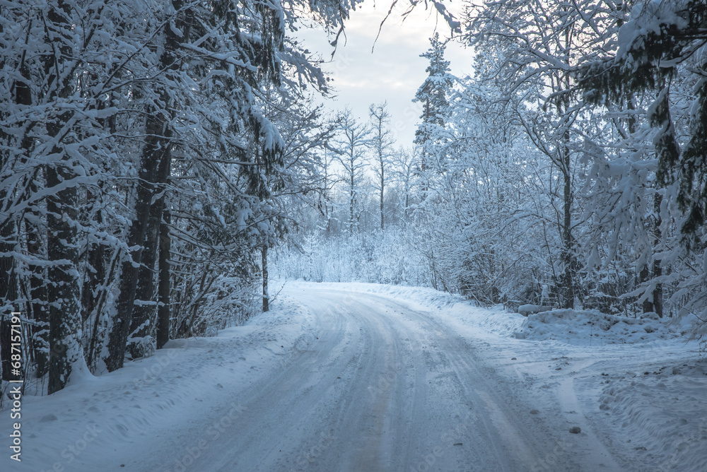 beautiful winter forest road with snow-covered trees beautiful winter forest road with snow-covered trees