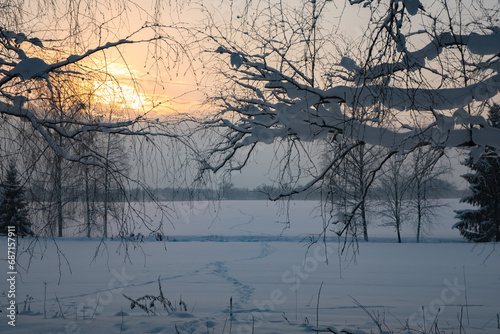 evening sunset in a snow-covered field where trees can be seen in the distance in winter