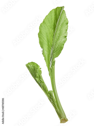 Choy sum (Brassica rapa var. parachinensis) leaves photo