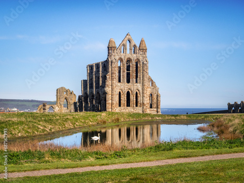 Historic Whitby Abbey reflected in a pool, with a swan.