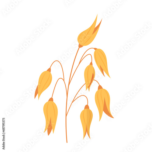 Oat plant vector illustration. Organic product. Oatmeal packaging design for cereals and muesli. Farm, agriculture, natural food, healthy lifestyle, balanced diet, nutrition