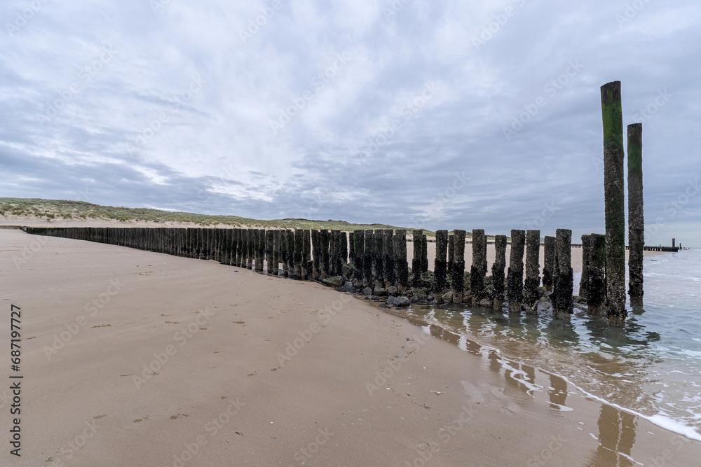 wooden groyne on the beach in Vlissingen, Zeeland, Netherlands