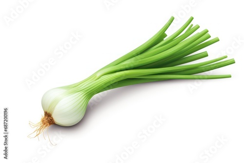Green onion icon on white background