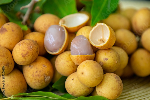 Ripe Pitomba fruits  talisia esculenta   an exotic fruit from the Brazilian tropical forest and bioma cerrado. Ripens in the months of November and December