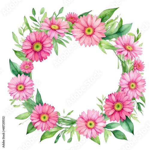 Watercolor illustration pink transvaal daisy flowers with green vivid leafs border. Creative graphics design.