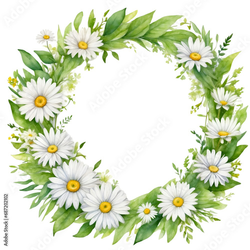 Watercolor illustration white transvaal daisy flowers with green vivid leafs border. Creative graphics design. © Clip Arts Fusion 