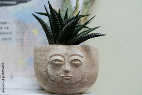close up of cactus