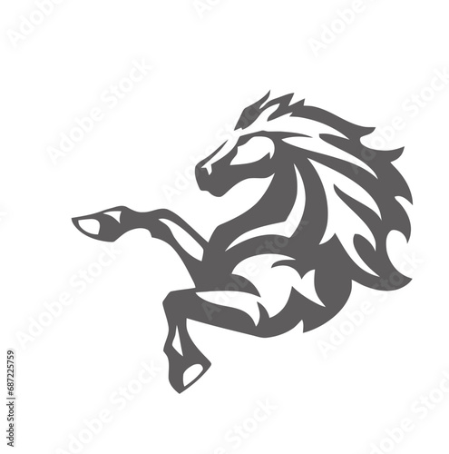 black and white horse