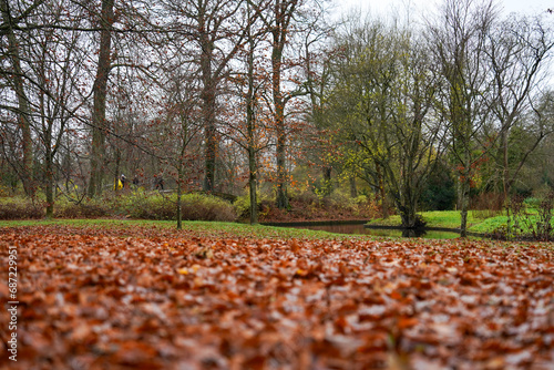 Photography Copenhagen, Denmark - November 19, 2023: Copenhagen Frederiksberg Gardens