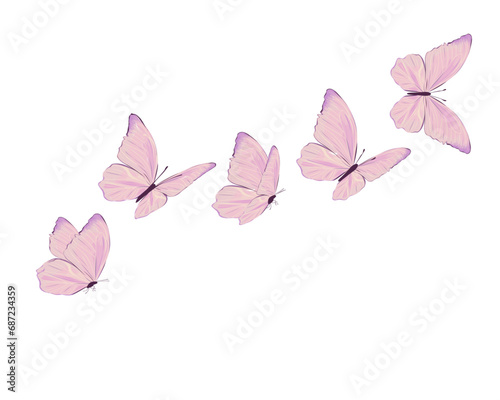 pink butterfly © gltekin