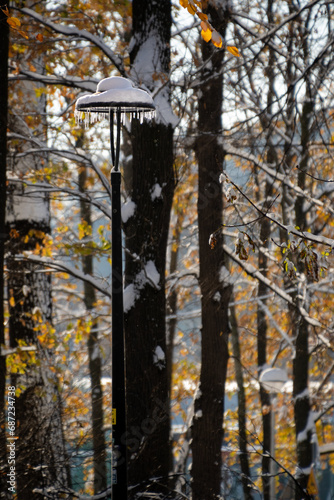 park lamp covered with snow