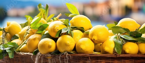 Various types of lemons available at a farmer market in Taormina Sicily Italy Copy space image Place for adding text or design photo