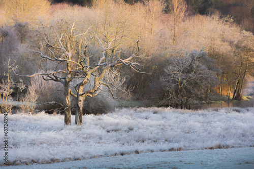 Wallpaper Mural A cold winter hoar frost at Loch Achray in the scenic landscape of Loch Lomond and the Trossachs National Park near Callander, Scotland, UK. Torontodigital.ca