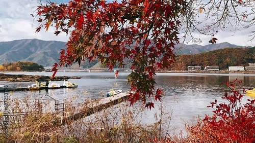 lake in autumn,autumn, water, tree, lake, landscape, nature, fall, river, trees, sky, forest, park, reflection, pond, green, foliage, season, beautiful, leaves, wood, blue, grass, natural, red, summer photo