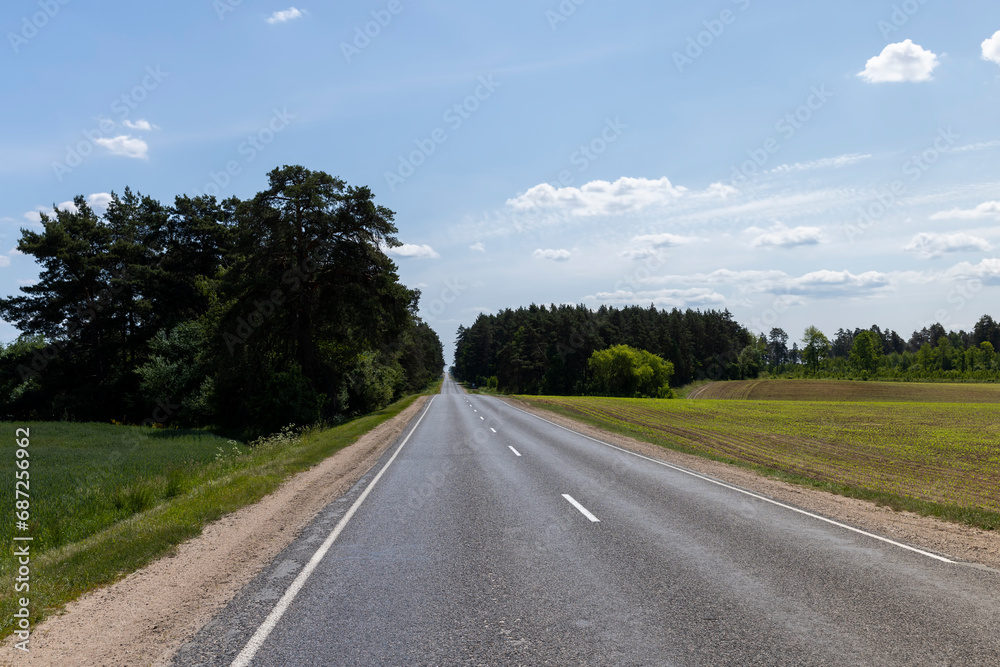 paved road with trees in the forest in sunny weather