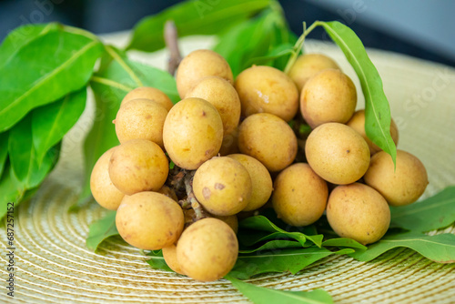 Ripe Pitomba fruits  talisia esculenta   an exotic fruit from the Brazilian tropical forest and bioma cerrado. Ripens in the months of November and December