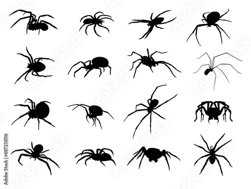Set of silhouettes of scary spiders © Pro_Art
