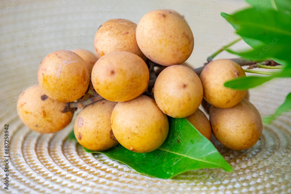 Ripe Pitomba fruits (talisia esculenta), an exotic fruit from the Brazilian tropical forest and bioma cerrado. Ripens in the months of November and December Ripe Pitomba fruits (talisia esculenta), an exotic fruit from the Brazilian tropical forest and bioma cerrado. Ripens in the months of November and December