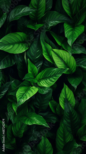 Green leaves pattern background © Fox Bread