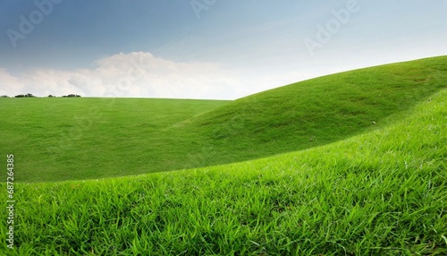 green grass field on white background