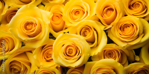Floral background with yellow roses  top view 