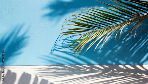 summer concept palm tree shadow on a blue background