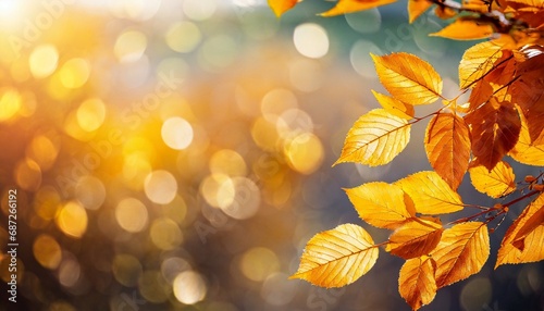 abstract nature autumn background with yellow leaves