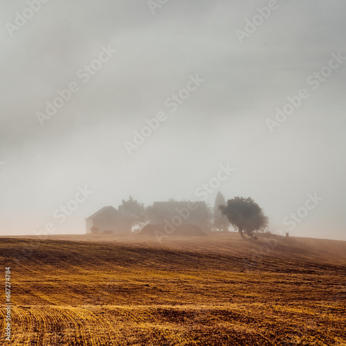 Amidst the misty savanna, a lone house peeks through the fog, surrounded by a sea of wild grass and towering trees, creating a serene yet wild landscape