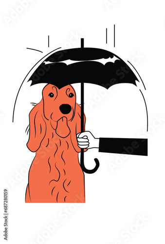 Caring For A Stray Irish Setter Dog By Protecting With An Umbrella From Rain, Adopting, and Fostering a Homeless Animal, Animal Rescue