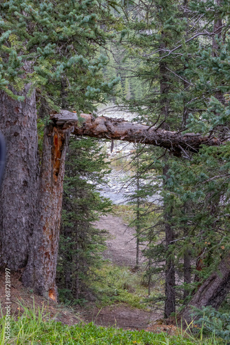 PRA Waiprous Creek, MD of Big Horn, Alberta, Canada photo