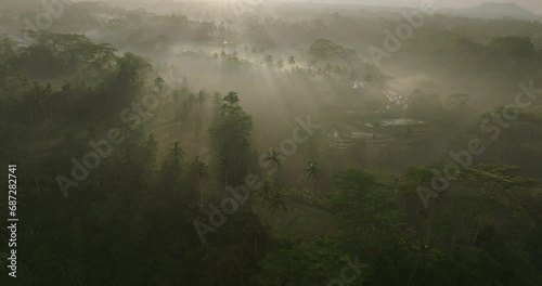 Aerial Lockdown Shot Of Sunrays On Tranquil Rice Paddies On Hills - Bali, Indonesia photo