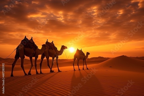Camels in the desert  © Mariia