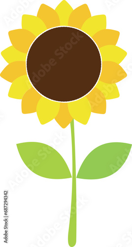 sunflower 