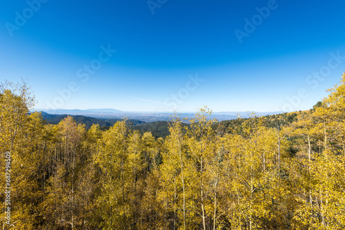 Autumn landscape from a scenic point in the Santa Fe National Forest. Yellow leaves on aspen trees in the foreground and high desert landscape in the background.