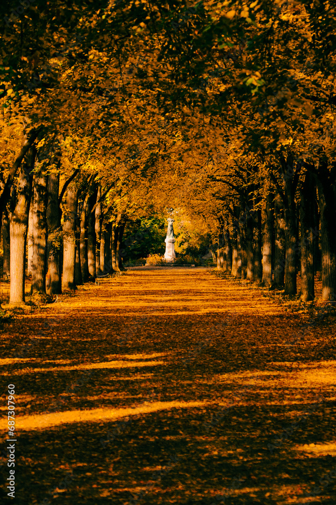 Fototapeta premium autumn in the park